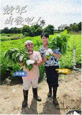 七七影视大全 向往的生活 综艺